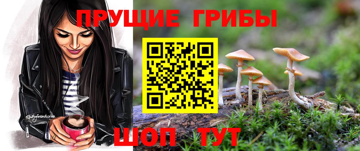 Псилоцибиновые грибы мухоморы Кашира