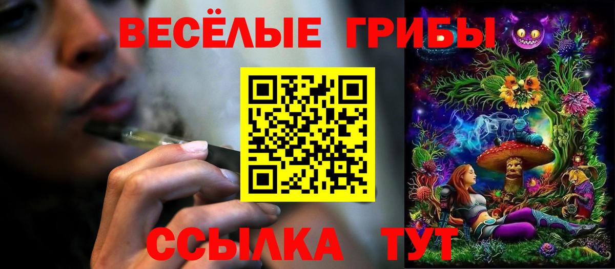 Кашира  Псилоцибиновые грибы ЛСД  Вход с VPN 